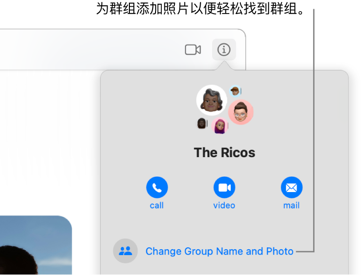 群聊对话的“信息”视图，在你点按对话中的“信息”按钮后显示，显示了群组成员的图标和群组名称。群组名称下方是用于拨打音频或 FaceTime 视频通话或给群组发送电子邮件的按钮。其下方是用于更改群组名称和照片的按钮。
