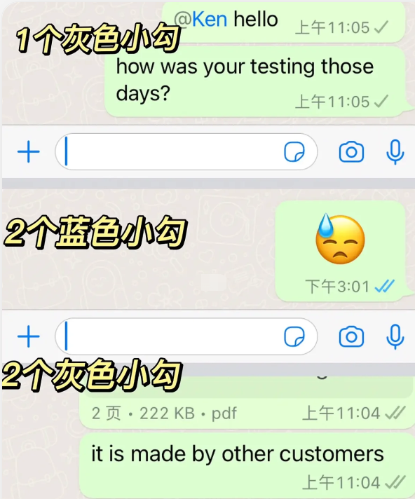 whatsapp2023