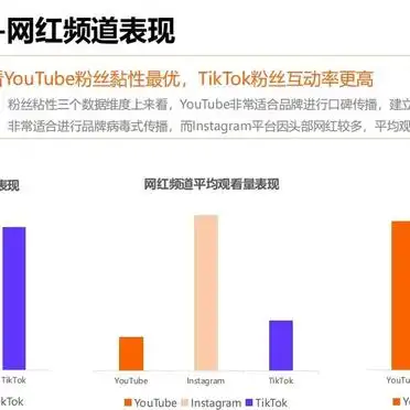 微博网红营销研究现状_拉美网红营销策略_2024拉美网红营销趋势