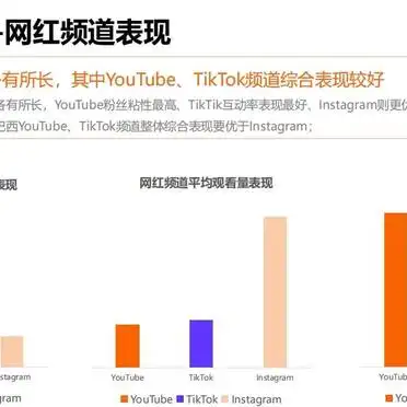 微博网红营销研究现状_拉美网红营销策略_2024拉美网红营销趋势