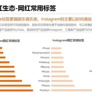 微博网红营销研究现状_2024拉美网红营销趋势_拉美网红营销策略