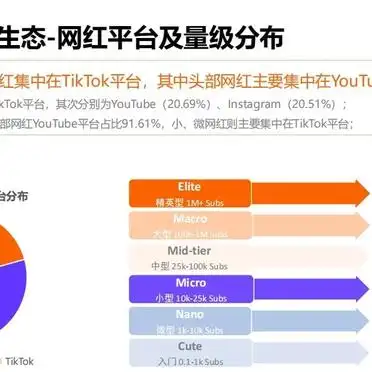 2024拉美网红营销趋势_拉美网红营销策略_微博网红营销研究现状