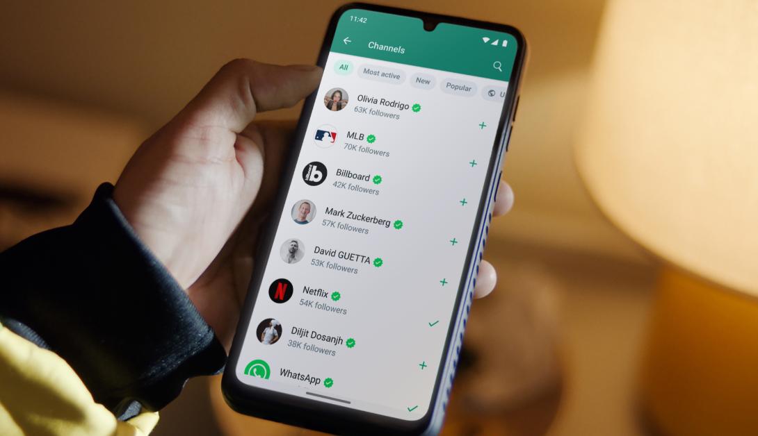 WhatsApp封号申诉技巧_WhatsApp_WhatsApp封号风险关键词