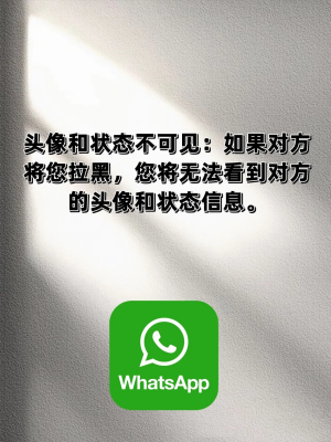 whatsapp中文版2023