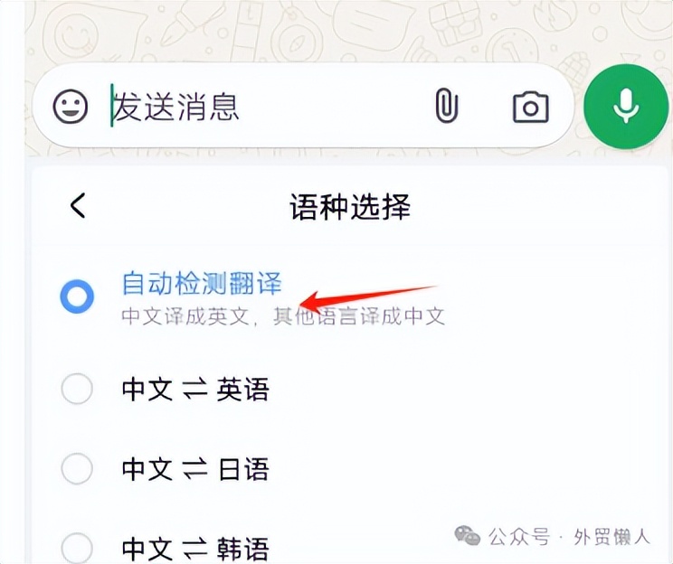 WhatsApp_whatsapp双手机登录_whatsapp翻译功能