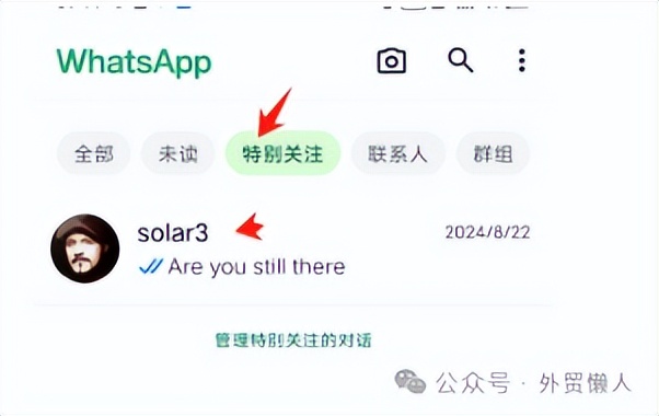 WhatsApp_whatsapp翻译功能_whatsapp双手机登录