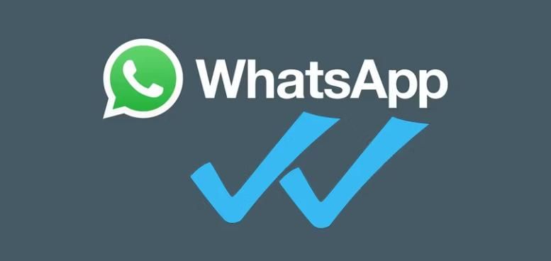 WhatsApp消息发送状态_WhatsApp勾勾标志含义_WhatsApp