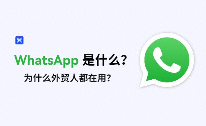 WhatsApp跨境电商营销_WhatsApp用户基础分析_WhatsApp