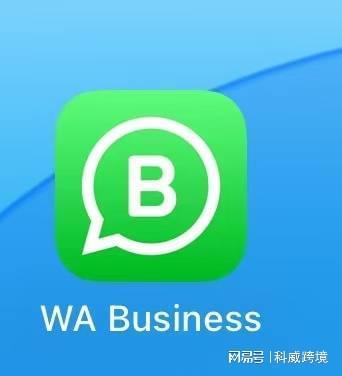 WhatsApp验证码问题解决方案_WhatsApp最新版本官方下载_WhatsApp
