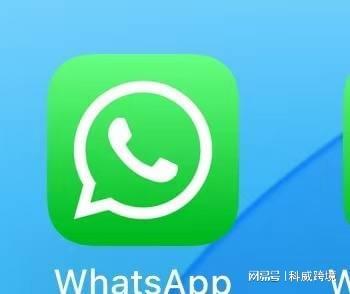 WhatsApp_WhatsApp最新版本官方下载_WhatsApp验证码问题解决方案