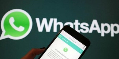 whatsapp最新版本2024