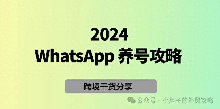 WhatsApp_WhatsApp养号攻略_WhatsApp新号成长技巧