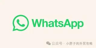WhatsApp_WhatsApp养号攻略_WhatsApp新号成长技巧