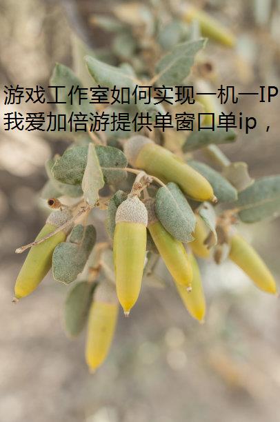 游戏工作室如何实现一机一IP，模拟器多开避免限制多开与封号