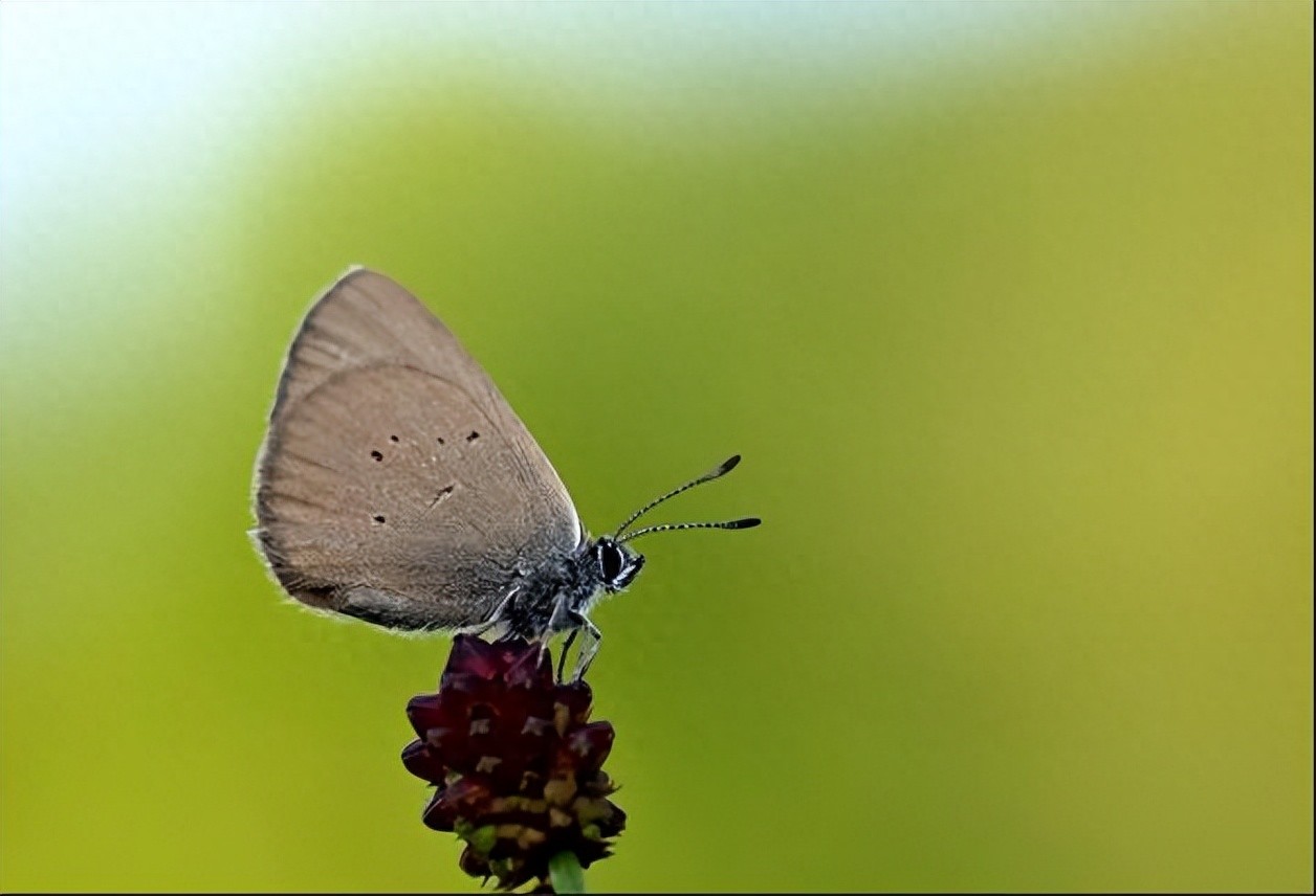 性价比高的小程序开发平台_开发小程序需要什么服务器_小程序开发工具推荐