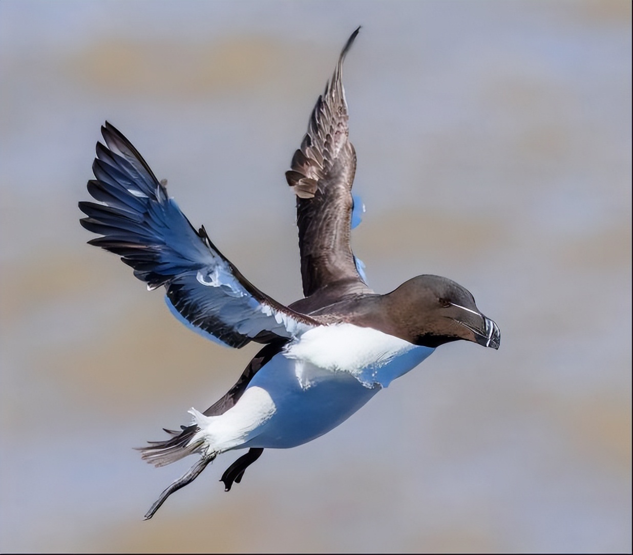 性价比高的小程序开发平台_小程序开发工具推荐_开发小程序需要什么服务器