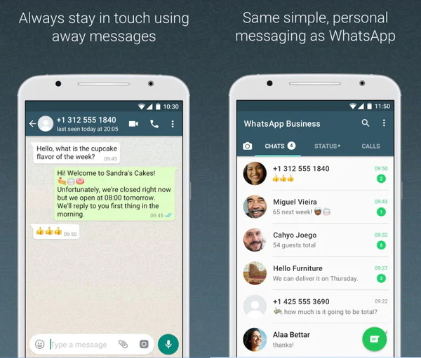 WhatsApp_即时通信软件发展历程_Skype兴衰史