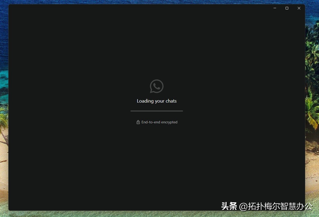 WhatsApp_WhatsApp 放弃 UWP WinUI 原因分析_WhatsApp Windows 11 WebView2 迁移