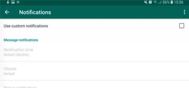 WhatsApp群组管理技巧_WhatsApp_WhatsApp信息发送技巧