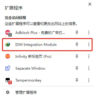 图6：Chrome中的idm插件