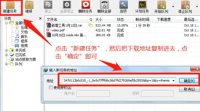 图10：输入下载地址