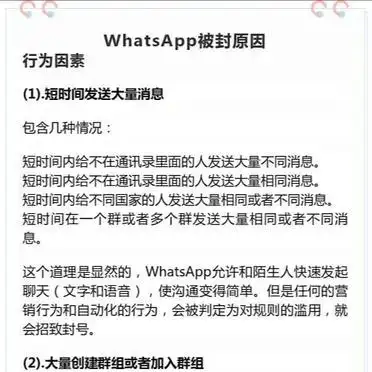 WhatsApp封号原因分析_应对策略_WhatsApp
