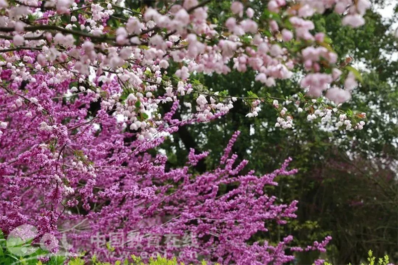 嘉兴职业技术学院2023年招生政策 _ 嘉兴职业技术学院专业介绍 _云南交通职业技术学院官方网