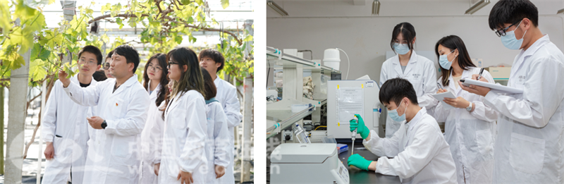嘉兴职业技术学院2023年招生政策 _云南交通职业技术学院官方网_ 嘉兴职业技术学院专业介绍 