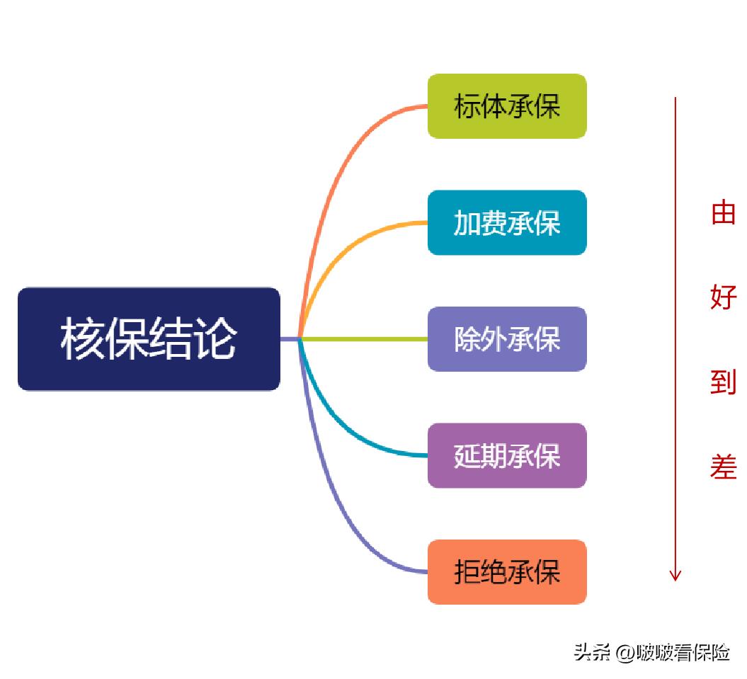 保险核保结论分析_保单生成时间是什么意思_保险健康告知流程