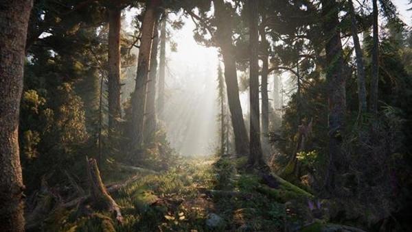 Unity Pro 2019功能_Unity 2D和3D开发工具_怎么看unity是否破解成功