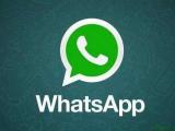 WhatsApp_WhatsApp Messenger Rooms 视频通话快捷方式_电报4亿用户群组视频通话