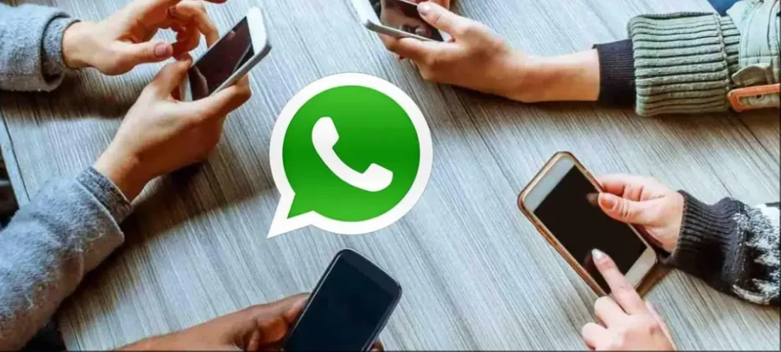 WhatsApp Business版本使用技巧_WhatsApp外贸沟通软件_WhatsApp