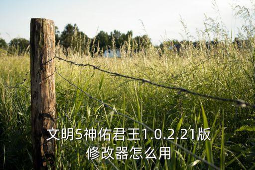 文明5神佑君王1.0.2.21版 修改器怎么用