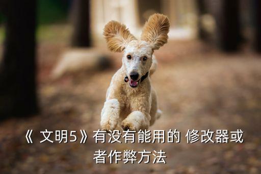 《 文明5》有没有能用的 修改器或者作弊方法