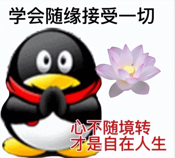QQ NT架构更新_qq空间农场总是加载_QQ手机版性能优化