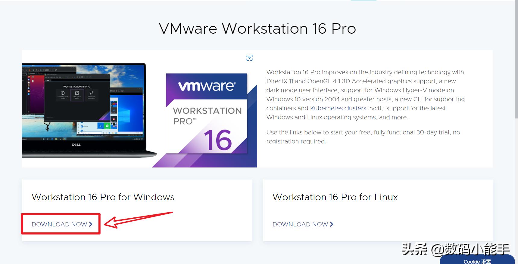  VMware安装Windows 10系统教程 _vm虚拟机最新反检测_VMware Workstation Pro 下载安装教程 
