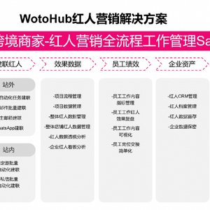 TikTok榜单数据_WhatsApp_WotoHub海外红人营销SaaS