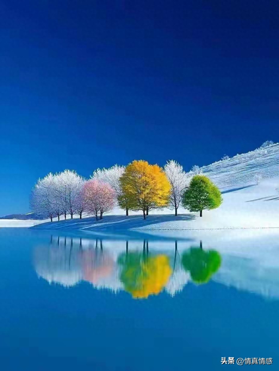 时来运转_命运选择人_时来运转的图片