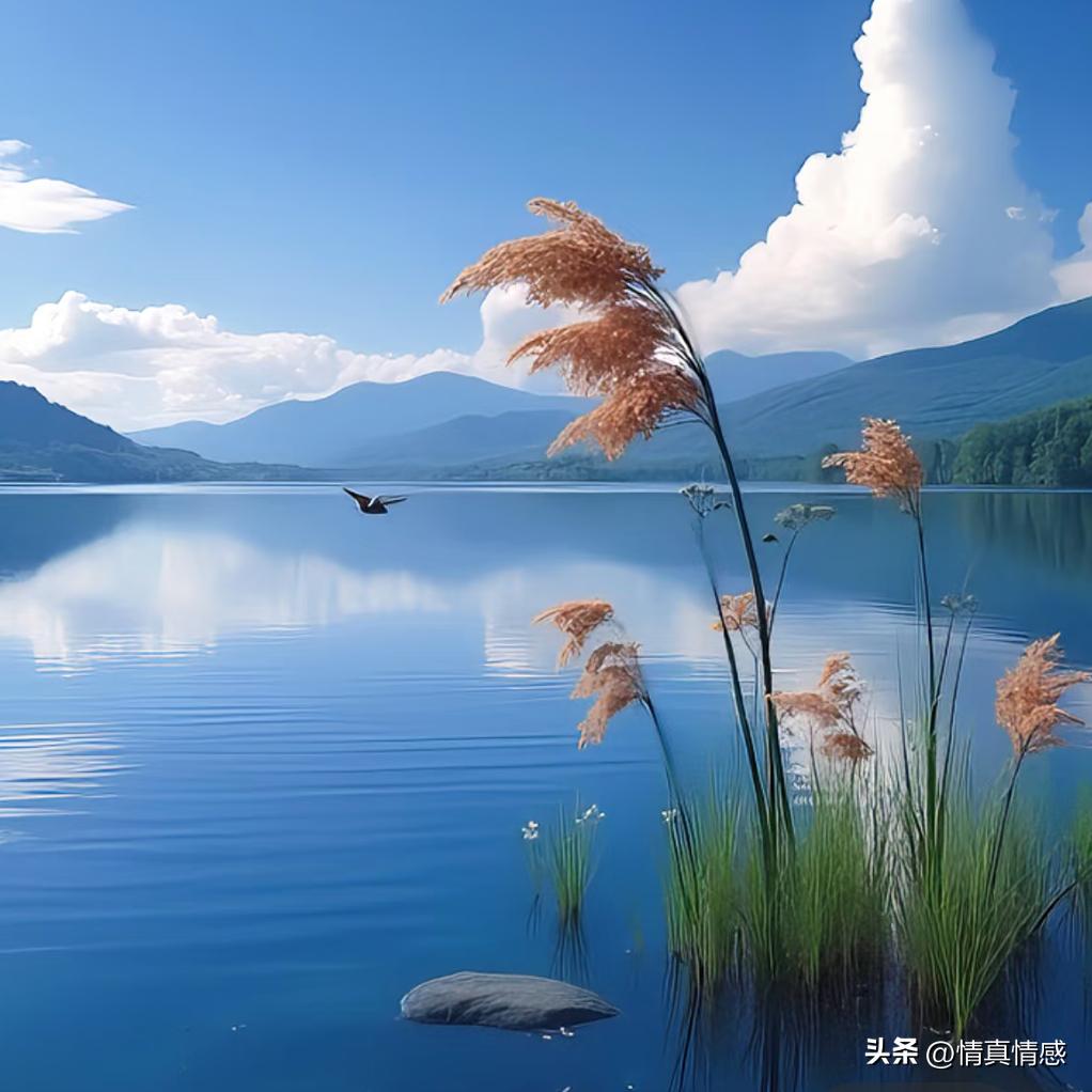 时来运转的图片_命运选择人_时来运转