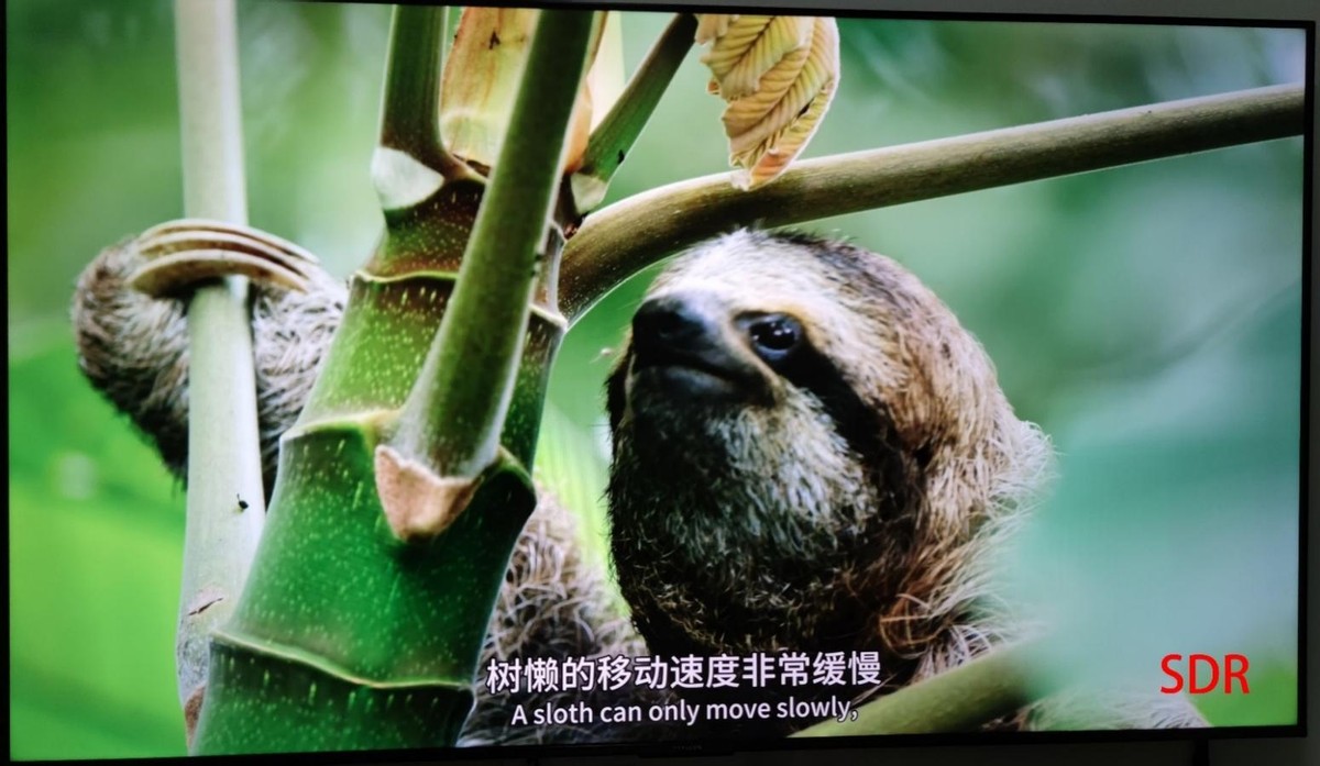 HDR技术详解_为什么现在视频播放器不能看电视直播了_HDR视频格式解析