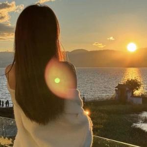 731电影票房分析_WhatsApp_电影731票房预测