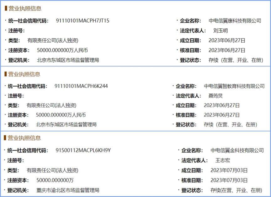 中国电信子公司有哪些_中电信翼康科技有限公司_中国电信子公司注册