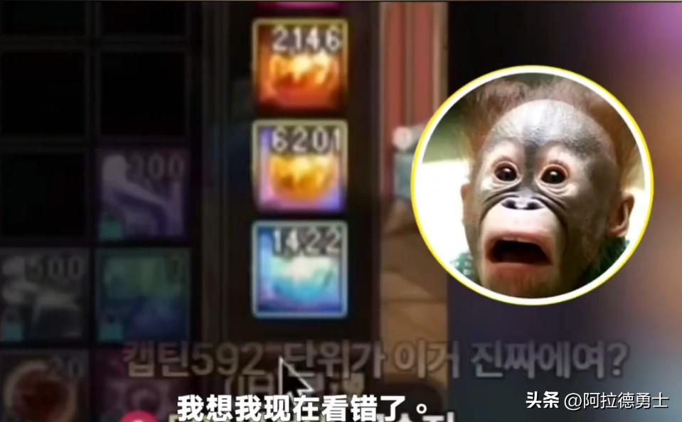 旭旭宝宝DNF氪金实力_旭旭宝宝账号矛盾数量_旭旭宝宝推荐的游戏币