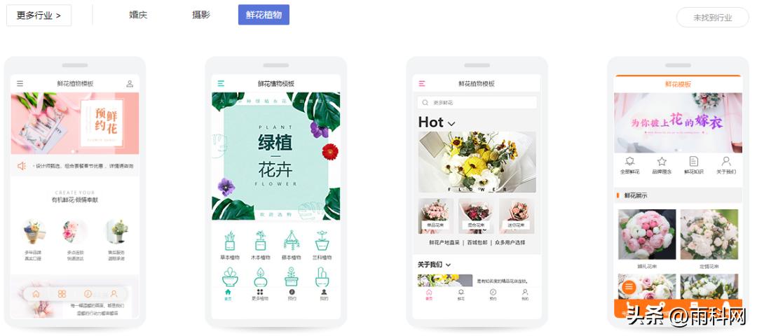 雨科网建站平台_鲜花植物网站建设_网上买鲜花那个网站好