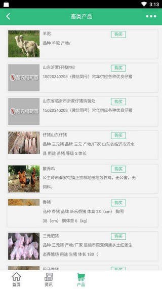 中国养猪网手机版_养猪资讯平台_中国养猪网 手机版