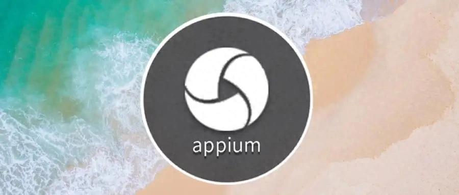 Appium 日志解读_控制台log文件设置_Appium 日志分析技巧