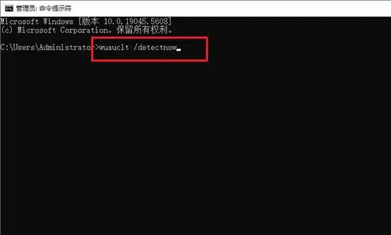 电脑自动更新不能用了_Windows系统更新检测不到新版本解决方案_Windows 11更新检测不到原因