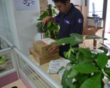条码阅读器属于什么设备_条码扫描器原理_条码扫描器种类
