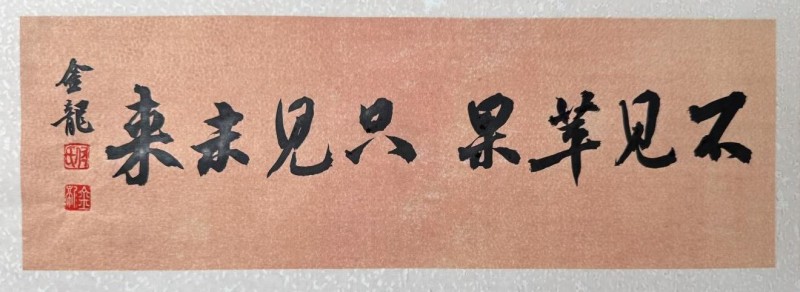 WhatsApp_全屏通头显技术突破_未来全屏通头显