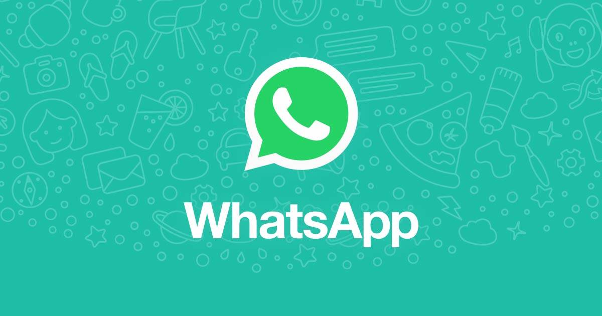 WhatsApp_如何知道是否被客户拉黑_如何用WhatsApp找客户
